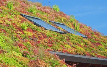 Norton Bridge living roof systems